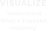 Visualize