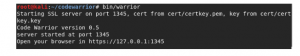 Executing CodeWarrior