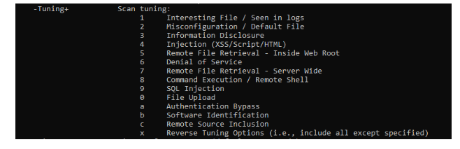 Types of vulnerabilities scanned.