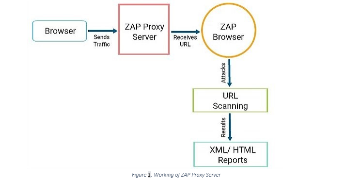 Working of ZAP Proxy Server