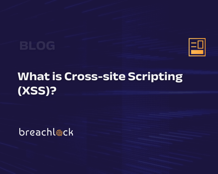 What is Cross-site Scripting (XSS)