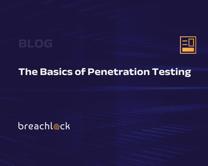 The Basics of Penetration Testing