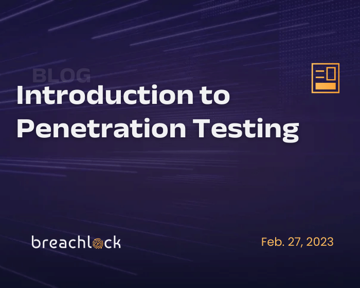 Introduction to Penetration-Testing