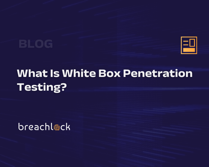 What Is White Box Penetration Testing?