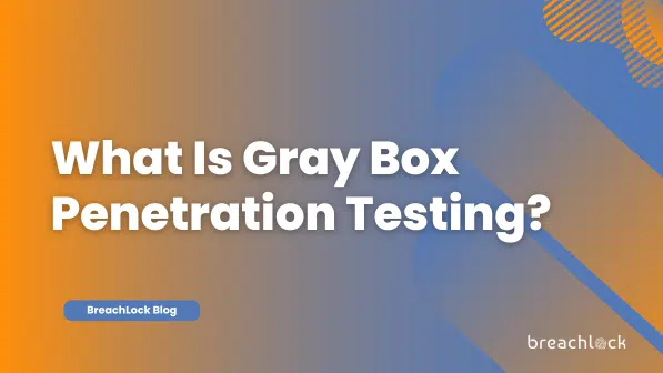 What is Gray Box-Penetration Testing