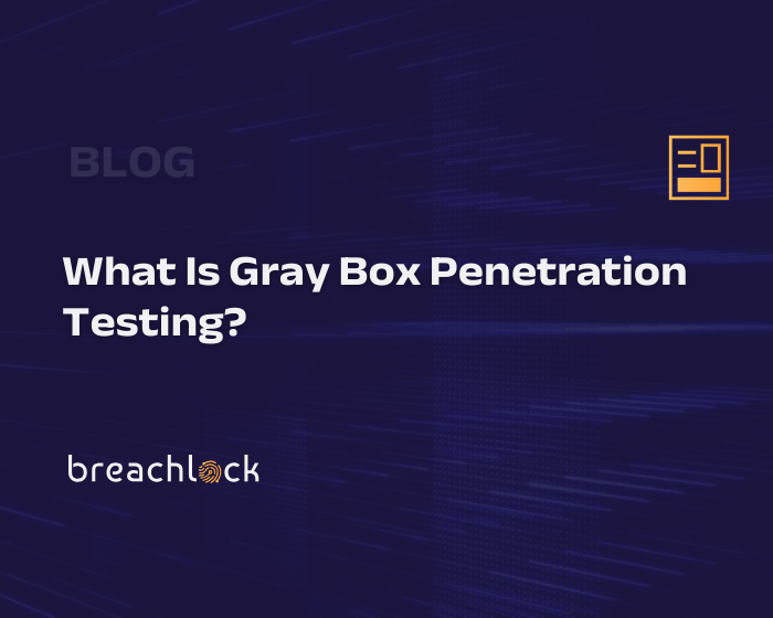 What Is Gray Box Penetration Testing?