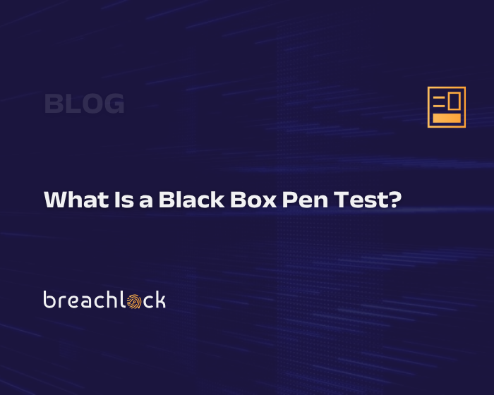 What Is a Black Box Pen Test