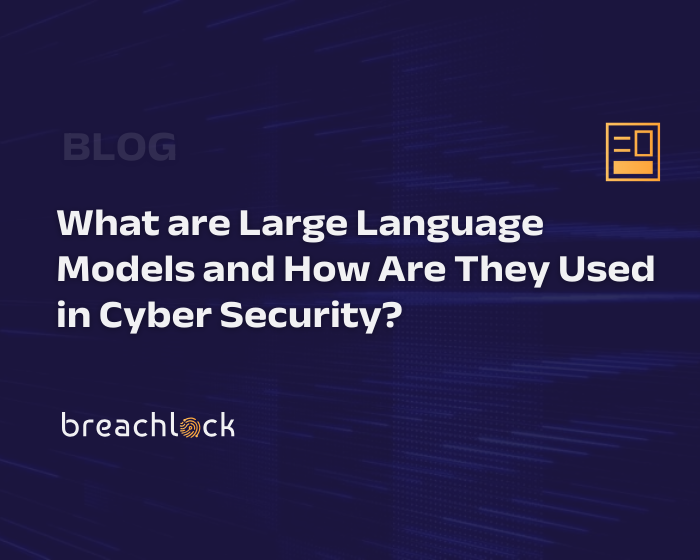 What are Large Language Models and How Are They Used in Cyber Security?