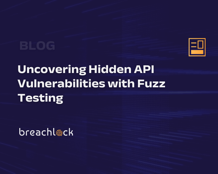 Uncovering Hidden API Vulnerabilities with Fuzz Testing