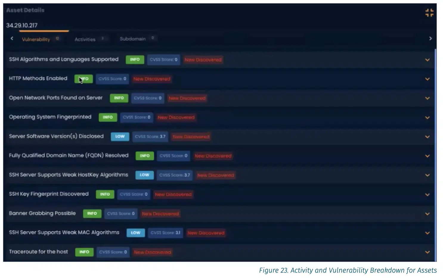 Screenshot of the asset details overview in the BreachLock Platform