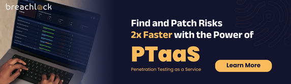 Penetration testing services